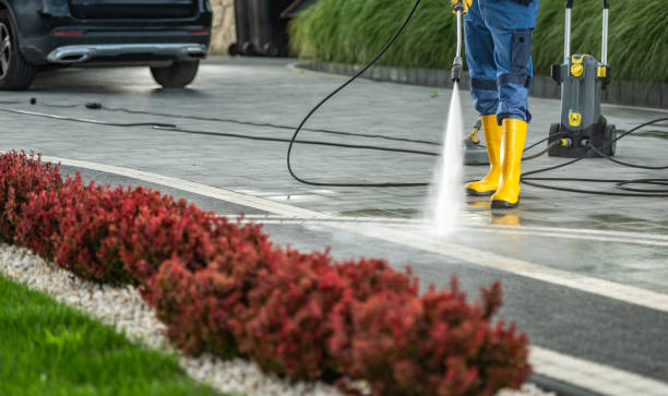 Window and Screen Pressure Cleaning